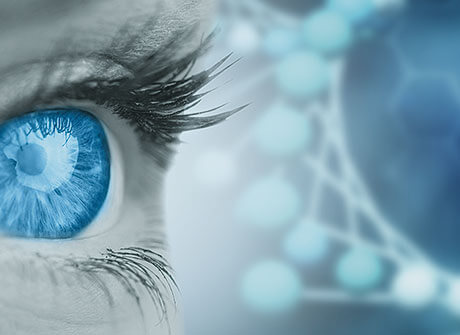 Fraudes et investigations Fraudes et investigations